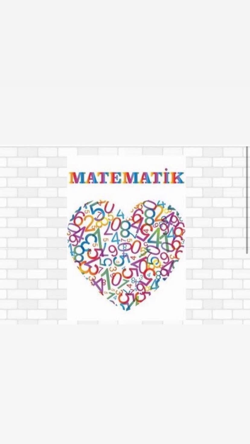 matematik özel ders